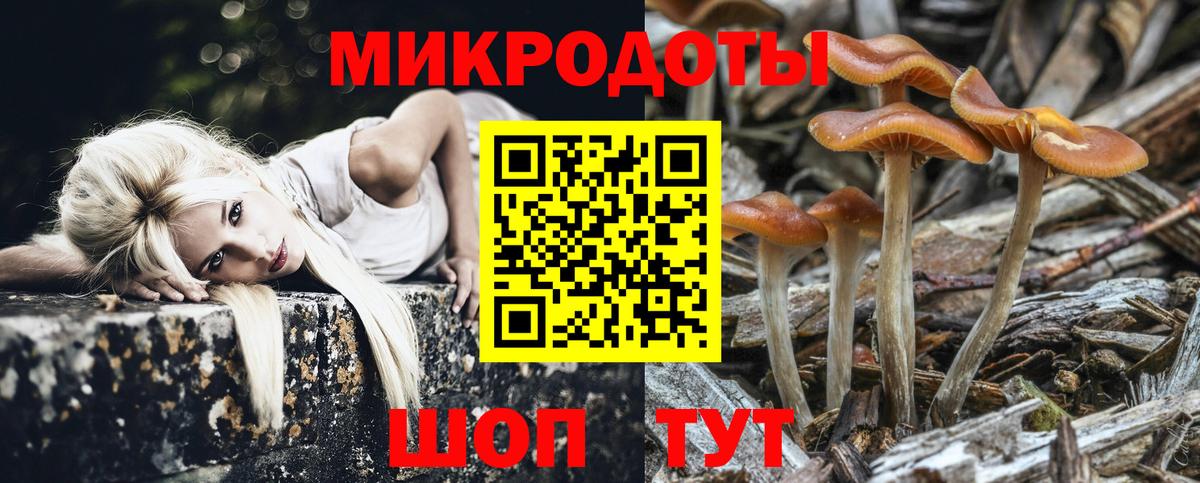 Псилоцибиновые грибы прущие грибы  Вход с VPN  Южноуральск 
